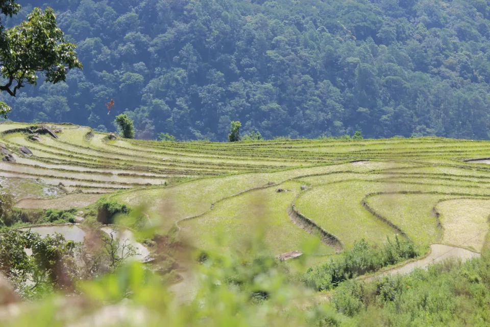 Kho gạo của Hoàng Văn Xin